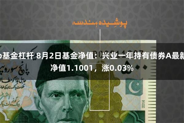 b基金杠杆 8月2日基金净值：兴业一年持有债券A最新净值1.1001，涨0.03%