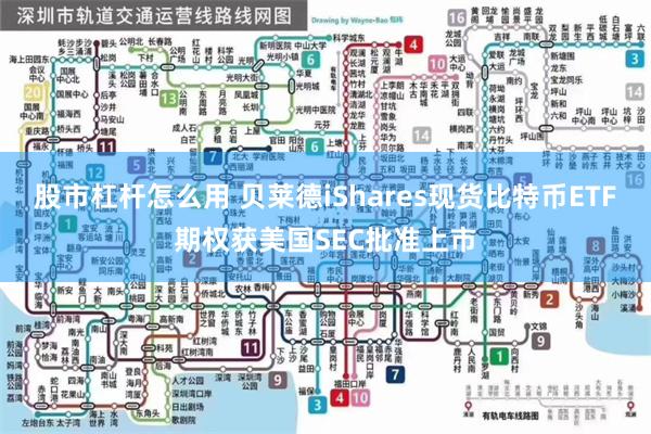 股市杠杆怎么用 贝莱德iShares现货比特币ETF期权获美国SEC批准上市