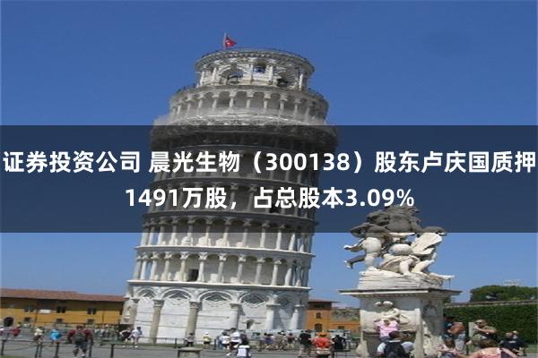 证券投资公司 晨光生物（300138）股东卢庆国质押1491万股，占总股本3.09%