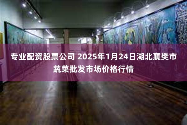 专业配资股票公司 2025年1月24日湖北襄樊市蔬菜批发市场价格行情