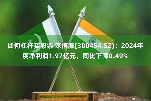 如何杠杆买股票 深信服(300454.SZ)：2024年度净利润1.97亿元，同比下降0.49%