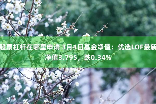 股票杠杆在哪里申请 3月4日基金净值：优选LOF最新净值3.795，跌0.34%